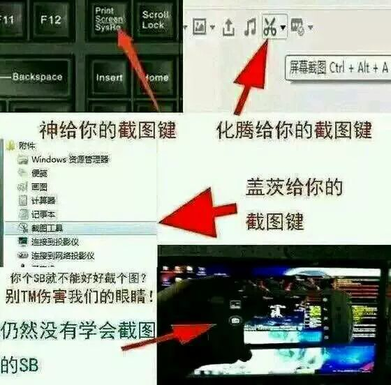 别拍照啦